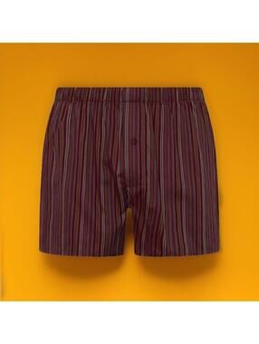 $60 NEW HANRO OF SWITZERLAND Men’s Luxury Cotton Boxers Size S Waist 30-32